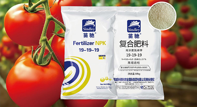 19-19-19复合肥料